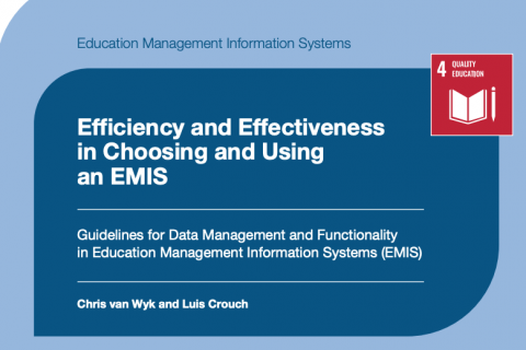 Efficiency and Effectiveness in Choosing and Using EMIS