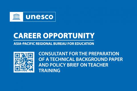 CONSULTANT - PREPARATION OF A TECHNICAL BACKGROUND PAPER AND POLICY BRIEF ON TEACHER TRAINING